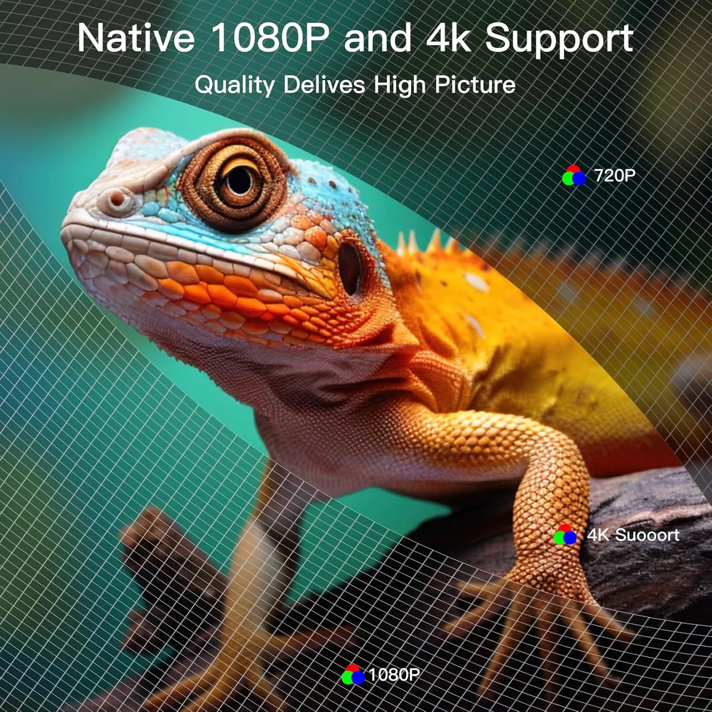 Portable Projector 1080p Professional